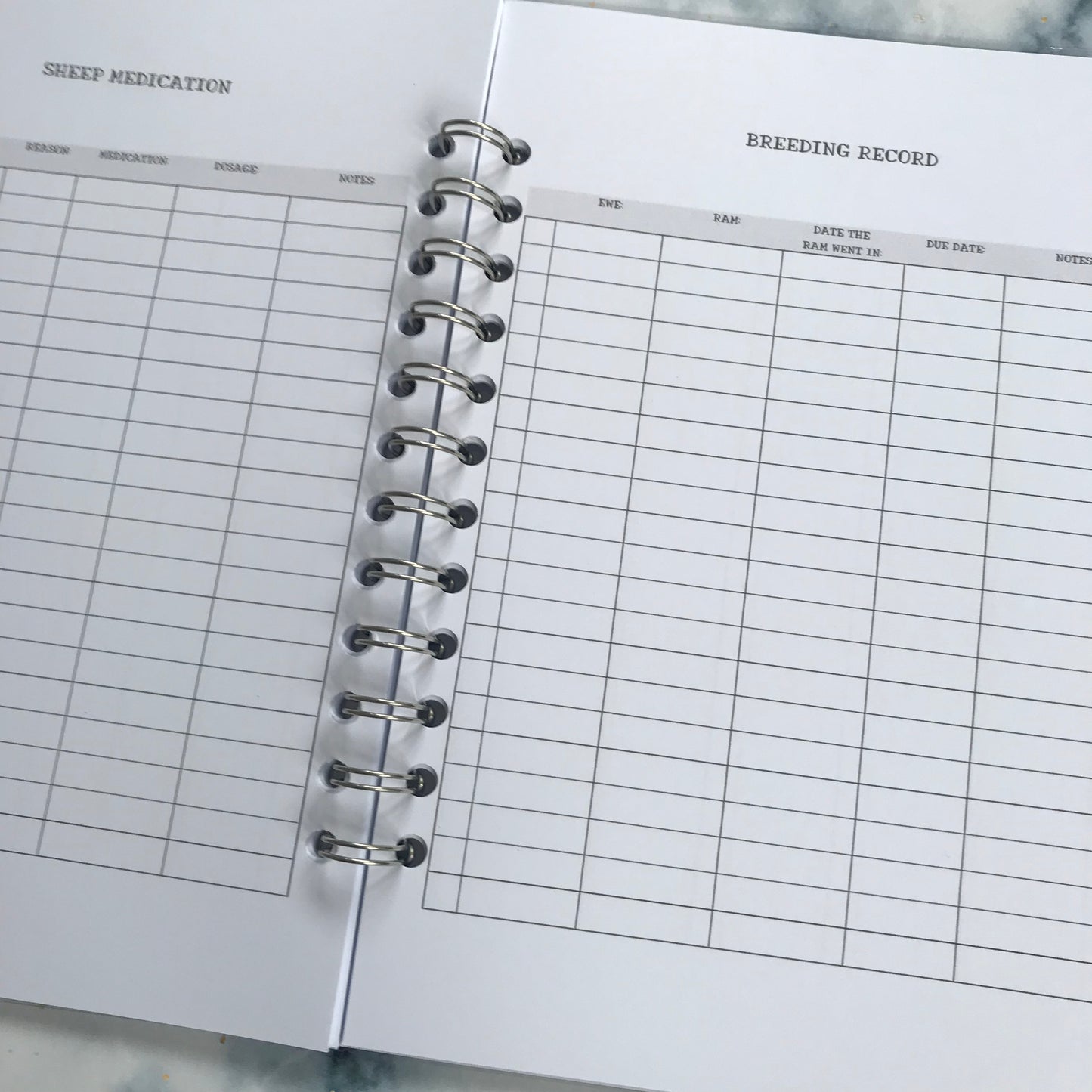 Sheep Records Book