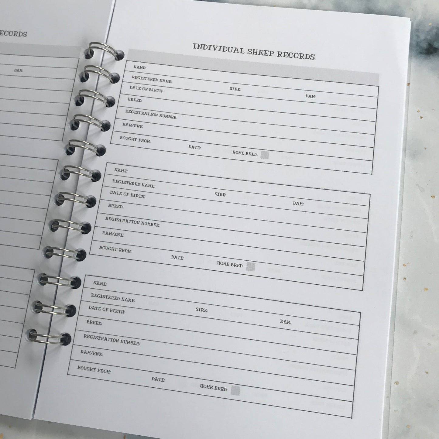 Sheep Records Book