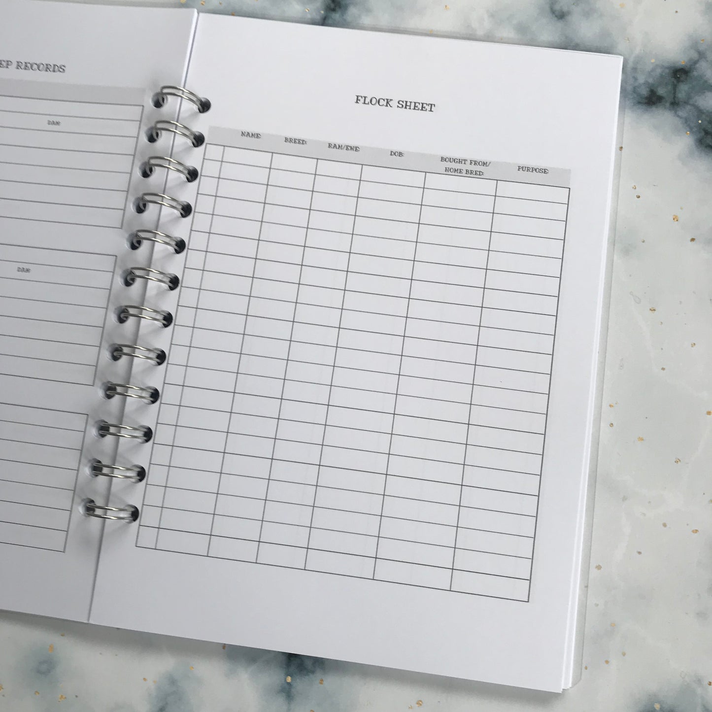 Sheep Records Book