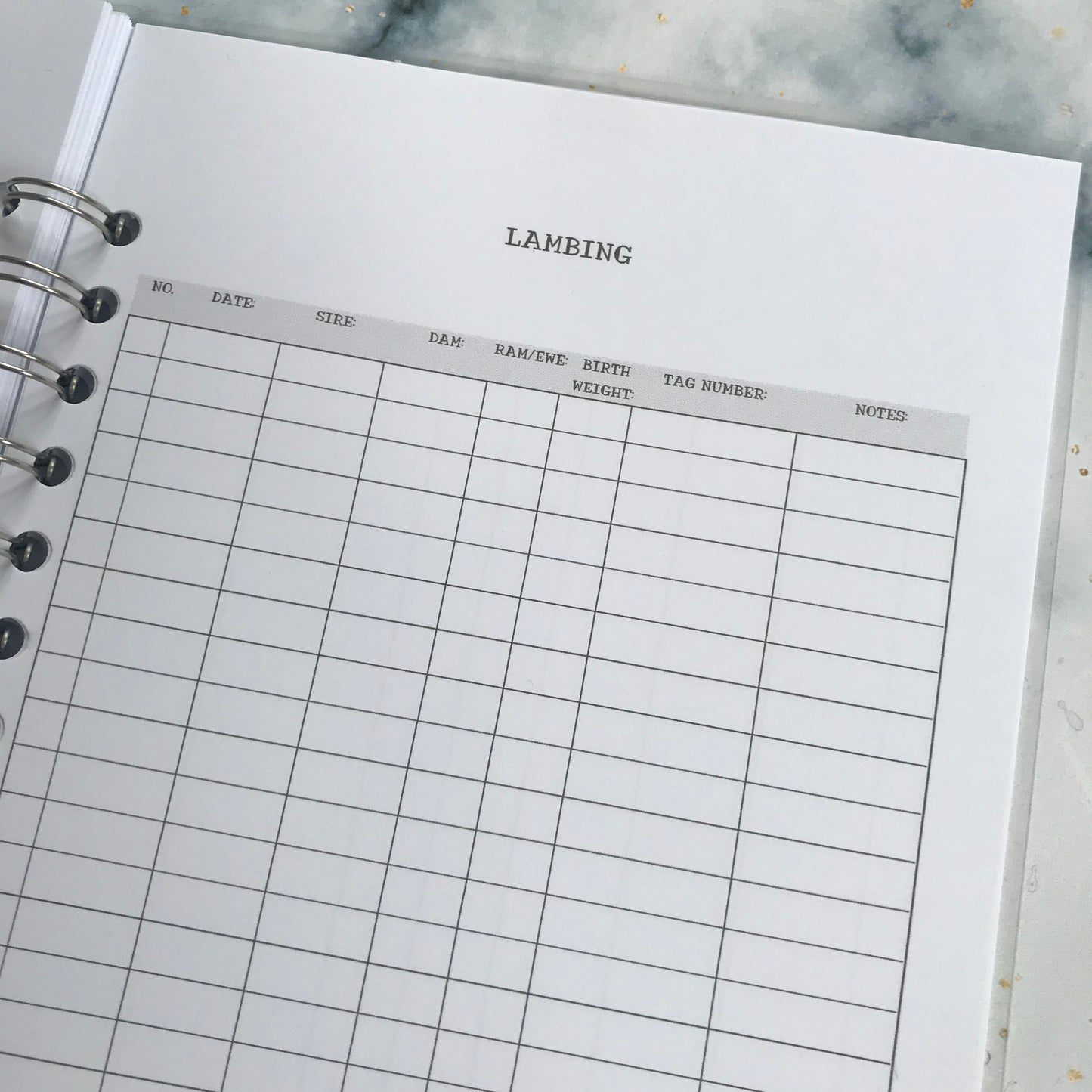 Sheep Records Book